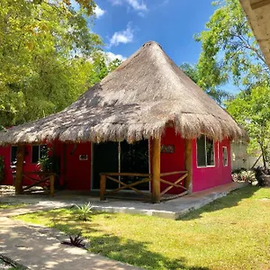 book here